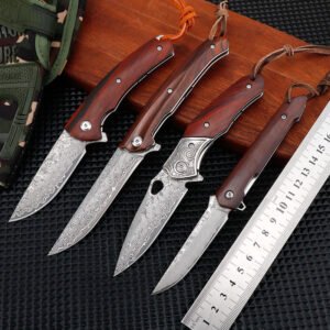 Damascus VG10 small knife folding knife