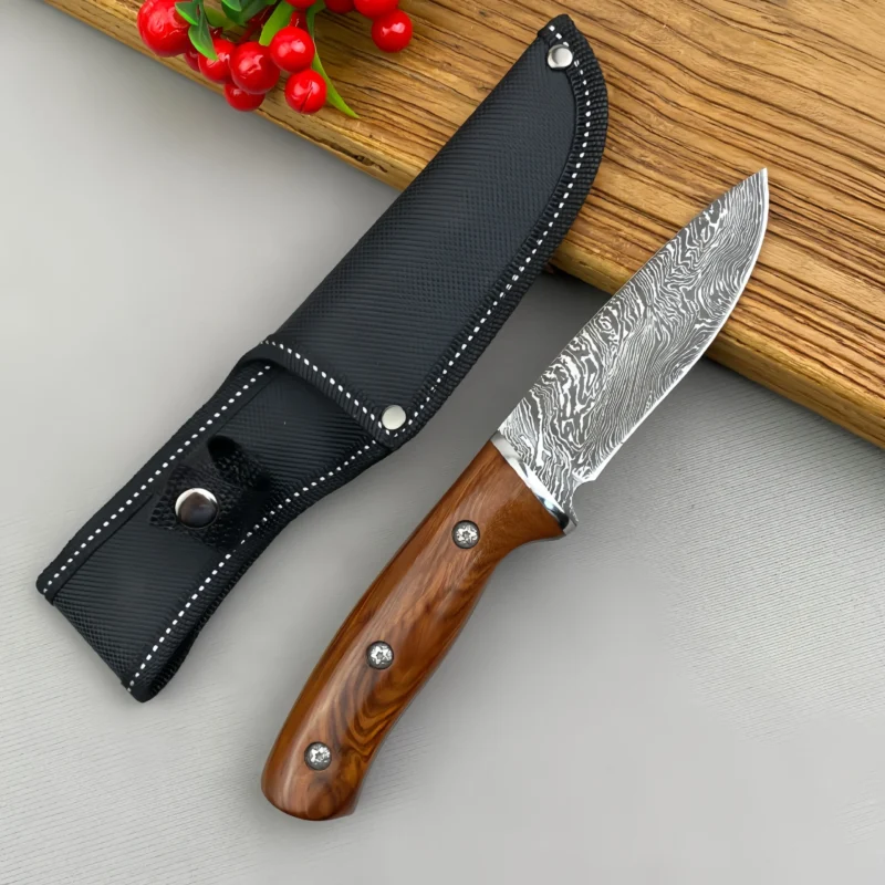 Damascus steel straight knife outdoor portable knife - Image 3