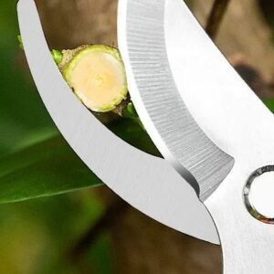 Stainless Steel Garden Pruning Shears for Bonsai and Fruit Picking