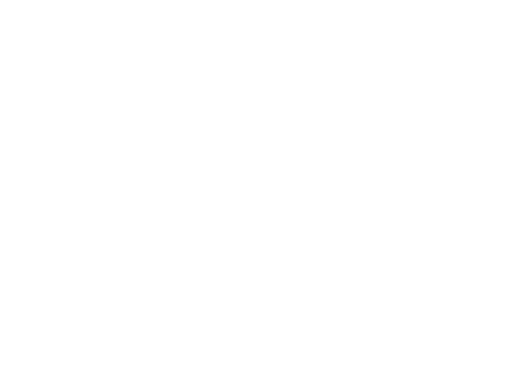 TOP KNIVES LLC