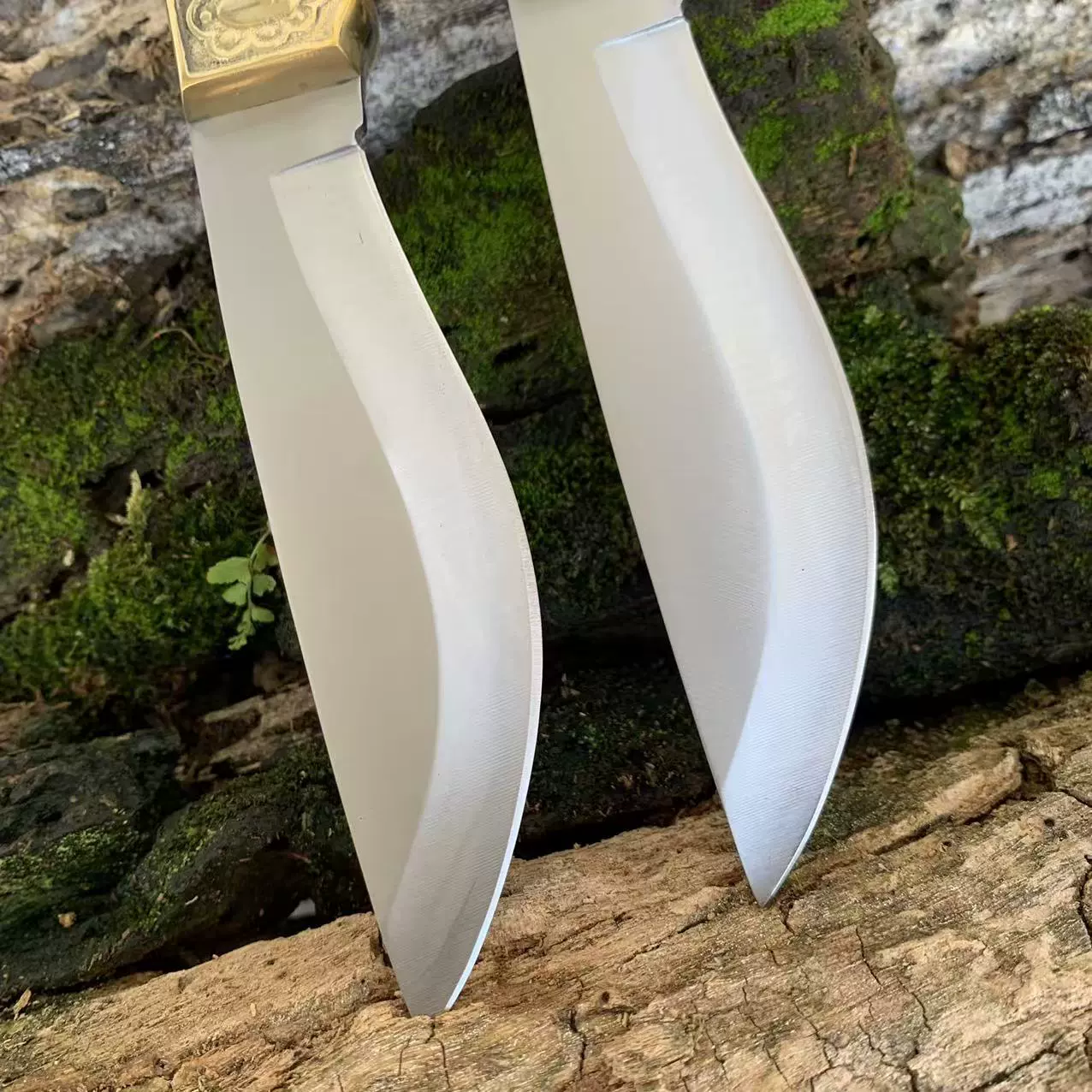 02-4ce2f62c0a17.webp Camping Fixed Blade Knife Dealer Assortment for Wholesale