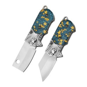 Stainless Steel Mini Folding Pocket Knife