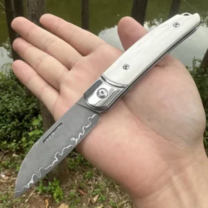 2026 New Design CNC Triad Stainless Steel Damascus Outdoor Folding Knife Survival Knife African Horn Handle for Camping - product view 2
