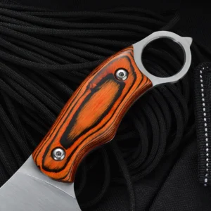 Wholesale Stainless Steel Kitchen Knife Color Wooden Handle Fixed Lemmet Outdoor Chef Knife Hunted Series 1 product view 3