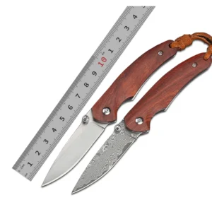 Best Gifts 9CR18MOV/Damascus Steel Camping Outdoor Hunting Pocket Knife Rose Wood Handle