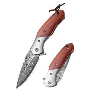 New High Hardness Sandalwood Handle Damascus Folding Knife Color Shell Handle Collection Gift Outdoor Knives - product view 2