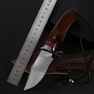 Damascus Steel Wood Handle Fixed Blade Camping Knife - D12 - product view 2