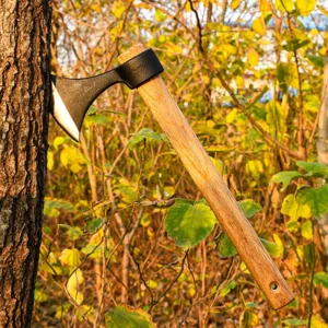 High-Carbon Steel Axe 65 Manganese Steel Axe Head Wooden Handle Camping Hunting Industrial Use Wood Chopping Cast Design - product view 4