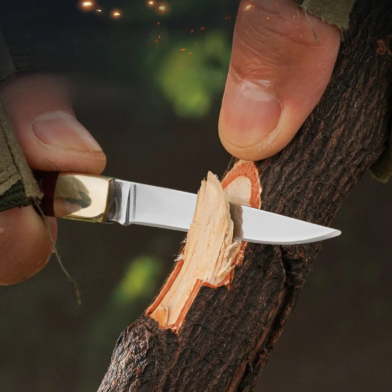 Outdoor Mini Pocket Knife Mirror Polished Camping Knife Folding Knife Made for Light Weight Easy to Carry - product view 3