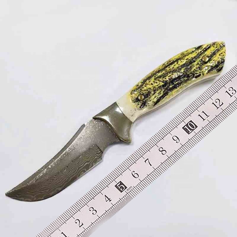 Bone or horn Handle Damascus steel Fixed Lame Hunting Knife — TK-FB-0050