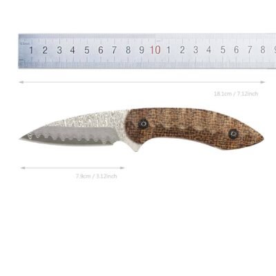 Micarta Handle Damascus steel Fixed Blade Hunting Knife — TK-FB-0264