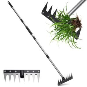 Long-Handle Weeding Scraper with Triangular Teeth